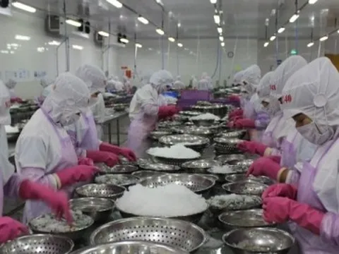 Xuất khẩu thủy sản tăng gần 30%, tín hiệu lạc quan những tháng đầu năm