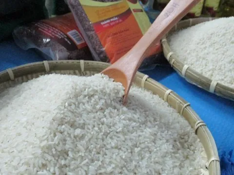 Vì sao giá gạo xuất khẩu đột ngột giảm mạnh rồi đảo chiều tăng?