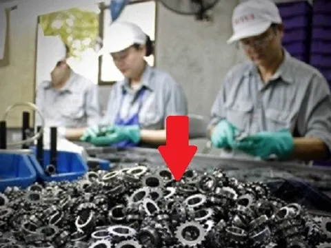 Chỉ 45 ngày đầu 2024, vì sao Việt Nam chi hơn 400 triệu USD để nhập một mặt hàng ta đang xuất khẩu tỷ USD?