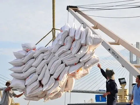 Thấy gì từ việc giá gạo Việt xuất khẩu liên tục giảm mạnh?