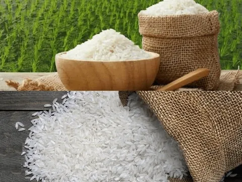 Diễn biến bất thường trên thị trường gạo thế giới sẽ còn tiếp diễn