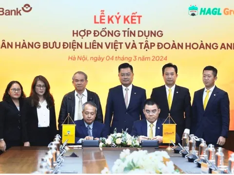 Được LPBank rót 5.000 tỷ đồng, Hoàng Anh Gia Lai (HAGL) tiếp tục dồn tiền cho bộ 3 "heo - chuối - sầu"