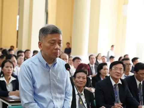 Chồng bà Trương Mỹ Lan giúp sức cho vợ như thế nào?