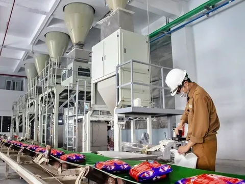 Cổ phiếu một doanh nghiệp hoá chất tăng gấp đôi sau 9 tháng