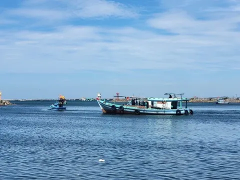 Kiên Giang: Giá trị sản xuất thủy sản hơn 3.685 tỷ đồng