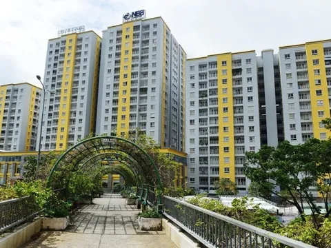 Thương vụ thâu tóm Năm Bảy Bảy của CII được tái khởi động?