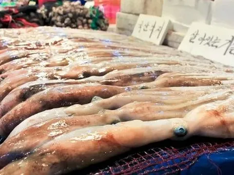 Một mặt hàng của Việt Nam bán 'đắt như tôm tươi' tại Hàn Quốc: Thu về 62 triệu USD chỉ trong 1 tháng, Trung Quốc, Nhật Bản cũng mạnh tay săn lùng