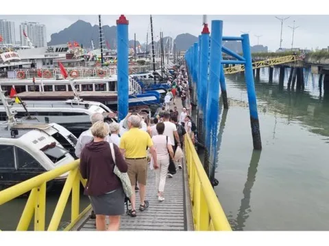 Đồng loạt tăng mạnh các loại phí dịch vụ tham quan vịnh Hạ Long