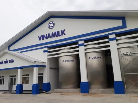 Vinamilk thông báo trả cổ tức trước thềm ĐHĐCĐ