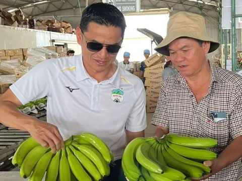 Việt Nam sở hữu loại 'quả hạnh phúc' khiến người Trung Quốc say đắm: bỏ túi hơn 300 triệu USD, bầu Đức bán 74 nghìn tấn chỉ trong 2 tháng