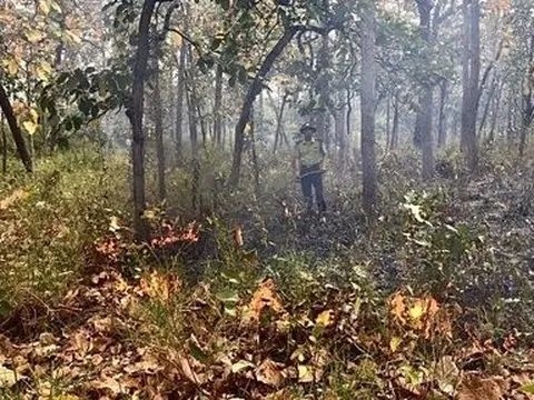 Đắk Lắk cấp bách triển khai các giải pháp phòng cháy chữa cháy rừng