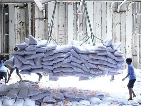 Giá gạo Việt giảm sâu, nhường ngôi cao nhất thế giới cho gạo Thái Lan