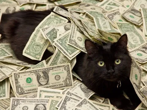 Công ty quản lý tòa nhà đắc địa tại Hà Nội cầm 30% tổng tài sản đi mua trái phiếu qua CTCK Tân Việt