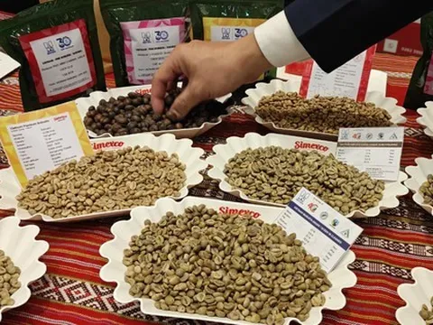 Bất ngờ với danh sách doanh nghiệp xuất khẩu cà phê rang xay hàng đầu Việt Nam