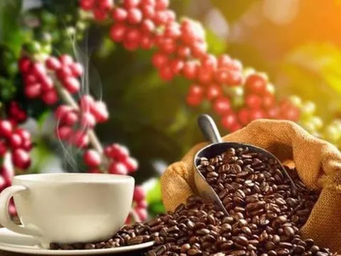 Gọi Đặng Lê Nguyên Vũ là Vua cà phê nhưng Trung Nguyên không hề đứng top cả cà phê nhân lẫn hòa tan: Vị vua kín tiếng kiếm 1-2 tỷ USD/năm suốt 1 thập kỷ