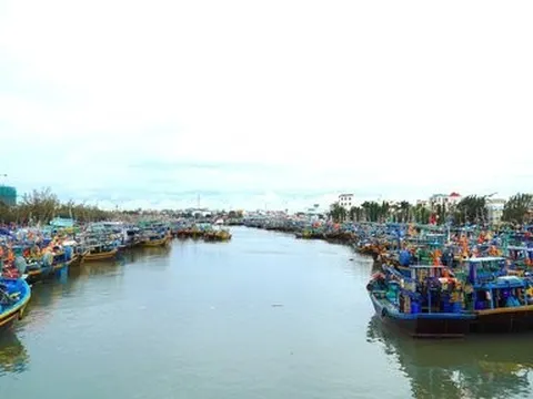 Tàu vận tải va chạm tàu cá, 8 thuyền viên được cứu sống, 1 người mất tích