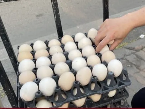 Trứng gà rớt giá thảm chỉ còn 1.500 đồng/quả, nông dân lỗ 1,5 triệu đồng/ngày