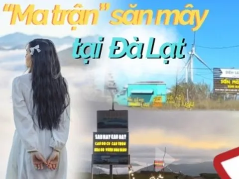 Du khách rối bời trước "ma trận" săn mây ở Đà Lạt: Thật giả lẫn lộn, xảy ra tình trạng chèo kéo tranh giành khách