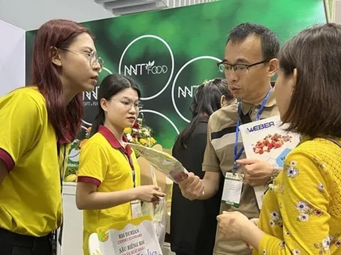 'Ngã ngửa' với lý do hơn 70% doanh nghiệp Việt buôn bán sầu riêng thua lỗ