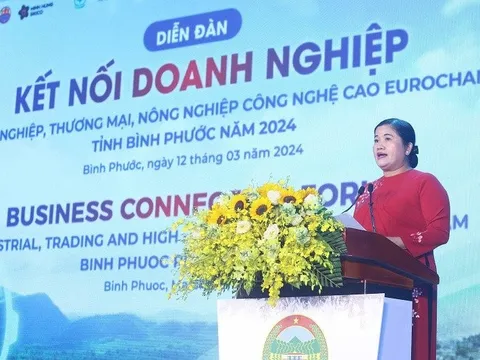 Bình Phước: Đón dòng vốn lớn từ các doanh nghiệp châu Âu