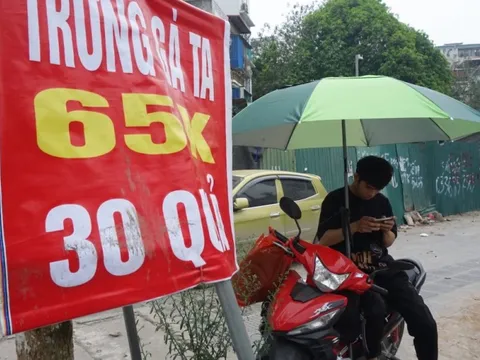 Người chăn nuôi mang trứng gà "siêu rẻ" bán trên vỉa hè Hà Nội