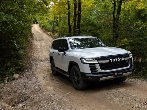 Trộm xe ở Mỹ thích Hyundai/Kia, trộm Anh thích Range Rover còn ở quốc gia này, ‘xe chủ tịch' là con mồi số một