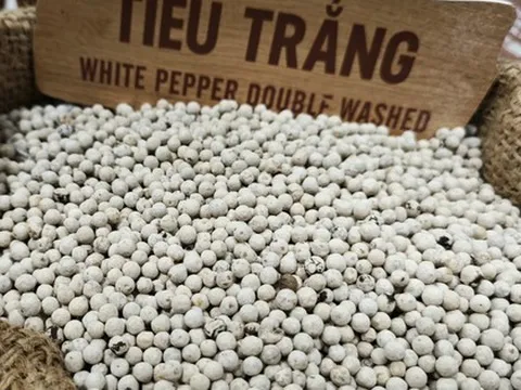 "Vua" xuất khẩu hồ tiêu Việt Nam là một doanh nghiệp nước ngoài