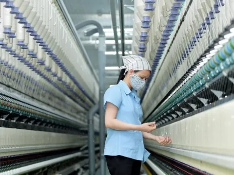 Nếu không có hỗ trợ, Việt Nam có thể mất một ngành đang trả lương mỗi năm 1 tỷ USD