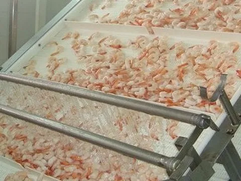 Từng bị hủy niêm yết, cổ phiếu của Incomfish có đang lội ngược dòng?