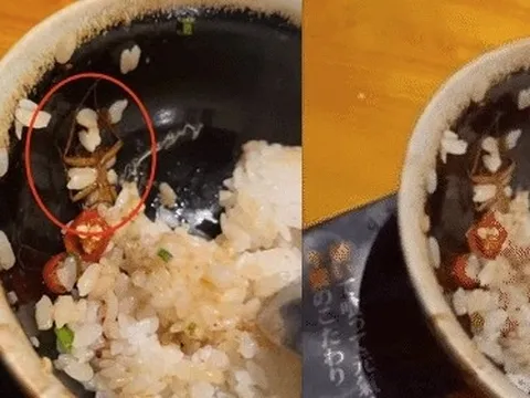 Bát cơm trộn "tiểu cường" trong một nhà hàng ở quận 1 khiến 2 mẹ con "điếng người": Phục vụ xin lỗi nhưng người có trách nhiệm lại im re