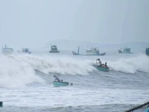 Khẩn trương tìm kiếm ngư dân trên tàu cá Bình Thuận rơi xuống biển mất tích