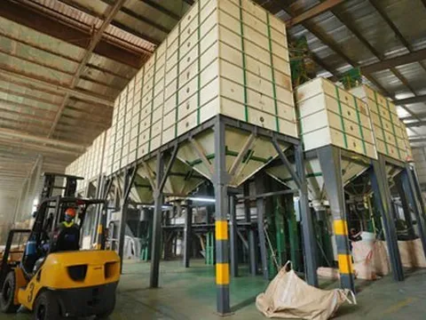 Nghịch lý xuất khẩu cà phê, hồ tiêu