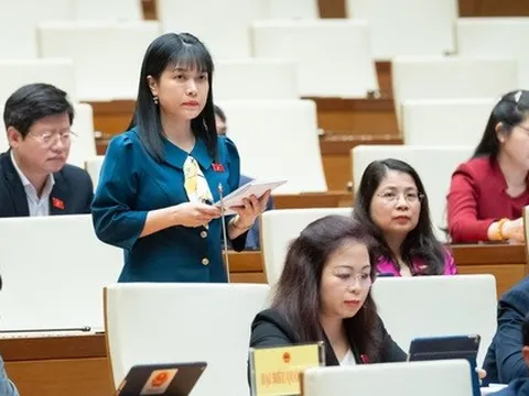 Đại biểu chất vấn Bộ trưởng Ngoại giao việc "ít nước miễn thị thực cho công dân Việt Nam"