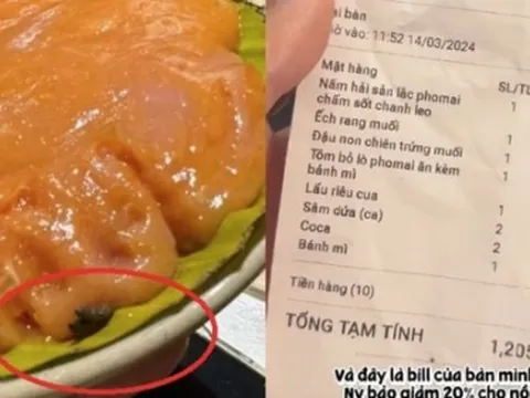 Đĩa mọc nhúng lẩu "đính kèm" chất thải chuột trong nhà hàng ở Hà Nội khiến khách kinh hãi, nghe nhân viên giải thích càng thêm "rụng rời"