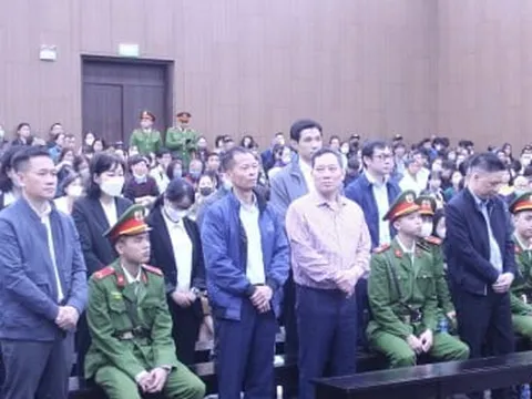 Chủ tịch Tân Hoàng Minh nộp thừa hơn 1 tỷ đồng để khắc phục hậu quả