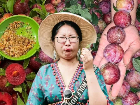 Tình hình mận đầu mùa: Vài trăm nghìn/kg vẫn đổ xô mua, dân tình mukbang rần rần dù chua nhăn mặt