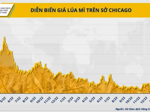 Trung Quốc liên tục hủy các đơn hàng, giá lúa mì sẽ tiếp tục giảm sâu?