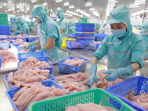 Một DN thủy sản trên sàn không thể trả nợ 137 tỷ cho BIDV, phải bàn giao cả chục triệu cổ phiếu cho Chi Cục Thi hành án