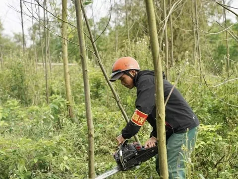 Dự án công viên có vườn thú ở Huế sẽ được xây dựng thế nào?