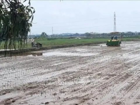 Hà Nội: Nhiều cách làm hay không để hoang hóa đất ruộng