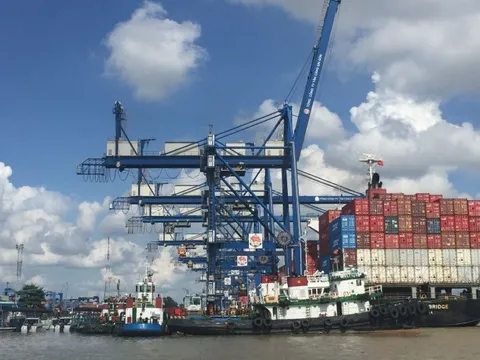 TP Hồ Chí Minh: Thu thuế từ ô tô nhập khẩu giảm hơn 3.000 tỷ đồng