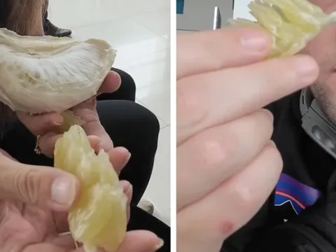 Du khách Tây rối rít cảm ơn khi được người Việt tặng trái cây, bất ngờ khi thử ăn bưởi Việt Nam