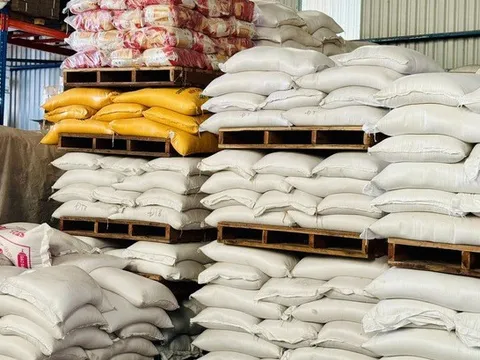 Giá gạo xuất khẩu của Việt Nam tiếp tục tăng