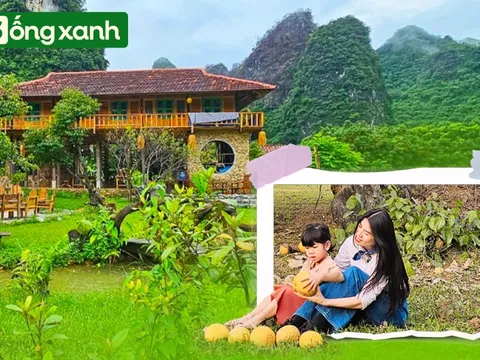 Người phụ nữ bê đá xây nhà giữa thung lũng, sống thuận tự nhiên, thu 2 tấn hồng/năm nhưng không bán