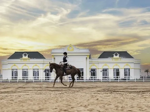 Quân bài chiến lược của Vinhomes ở đảo tỷ phú: Mở học viện cưỡi ngựa, nhắm tới 'Alpha Kids' của giới tinh hoa