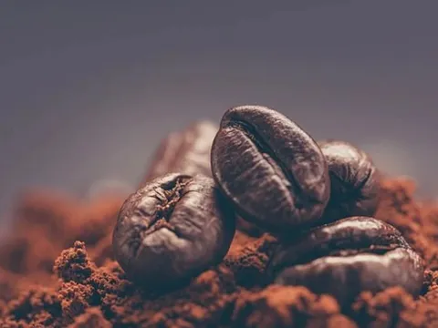 'Vị đắng' hạt cà phê Việt Nam: Giá bán vọt lên mức cao nhất thế giới nhưng DN thua lỗ kỷ lục, 'cơn ác mộng' xảy ra như thế nào?