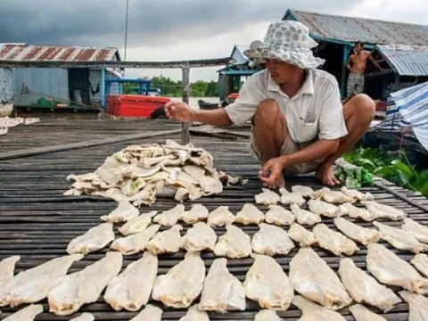 Cá tra Việt Nam thu hơn 200 triệu USD từ đầu năm, người Trung Quốc chuộng hơn cả hàng nội