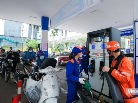 Thủ tướng: Xử lý DN không xuất hóa đơn điện tử khi bán lẻ xăng dầu