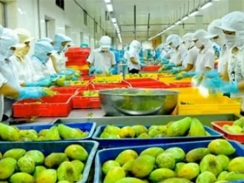 Thêm 3 nhóm hàng xuất khẩu tỷ đô của ngành nông nghiệp