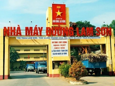 Lợi nhuận tăng hơn 6,5 lần, Mía đường Lam Sơn dồi dào tiền mặt